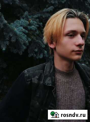 Репетитор по истории и обществознанию Липецк - изображение 1