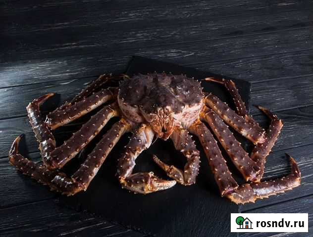 Живой Камчатский краб 4 кг. + Барвиха - изображение 1