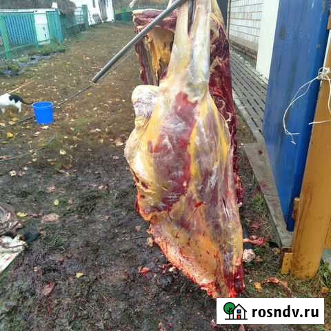 Продам мясо конины и говядины мясо высшей котегори Стерлитамак - изображение 1