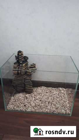 Аквариум Петропавловск-Камчатский - изображение 1