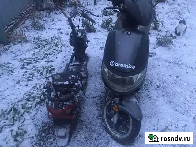 Скутора Чернянка - изображение 1