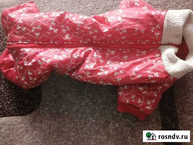 Комбинезон для собаки Новоалтайск - изображение 1