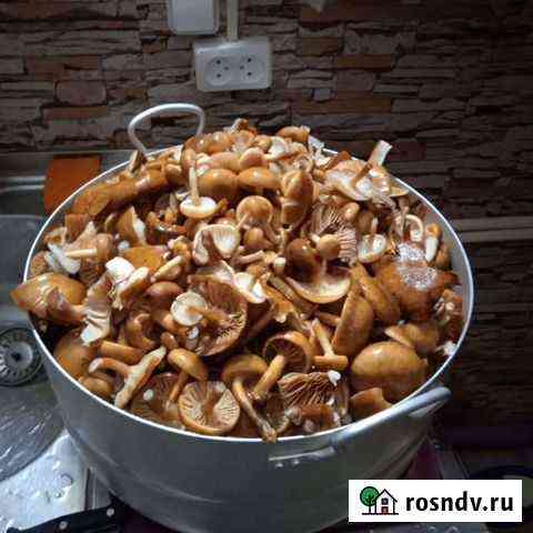Грибы, сок, варенье Липецк