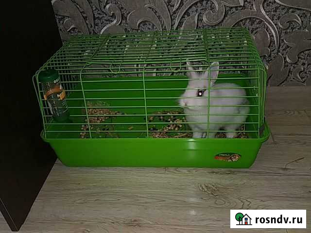Клетка для кролика Махачкала - изображение 1