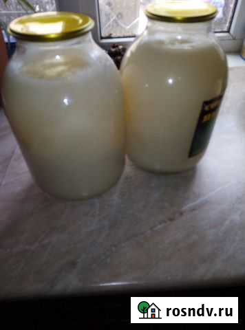 Жир (смалец) Новокорсунская - изображение 1