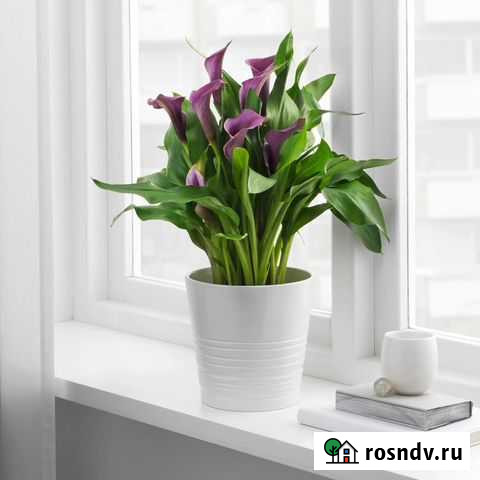 Цветочный горшок Казань - изображение 1