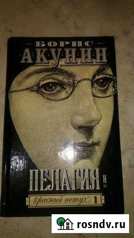 Книга Борис Акунин Обнинск - изображение 1