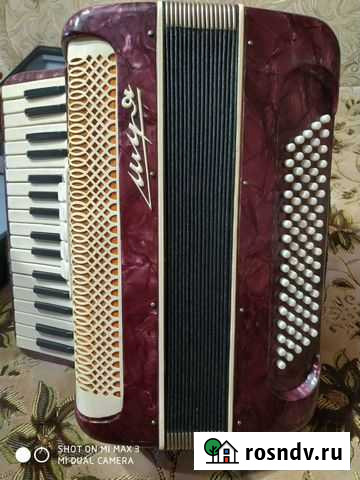 Аккордеон Липецк - изображение 1