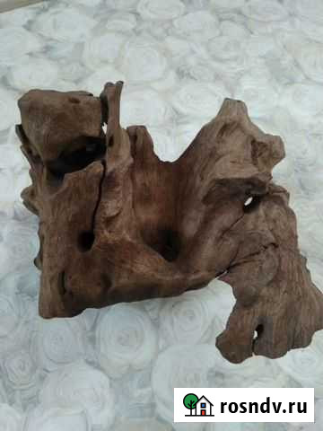 Мангровая коряга Коломна - изображение 1