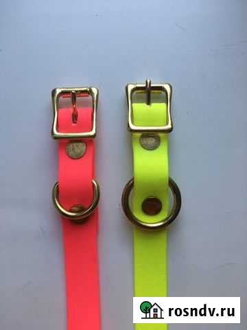 Ошейник, поводок для собак Псков - изображение 1