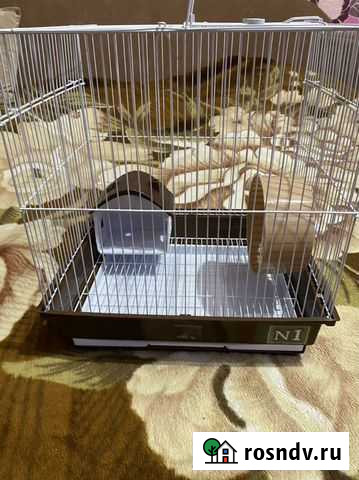 Клетка Симферополь - изображение 1