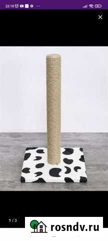 Когтеточка Чебоксары - изображение 1