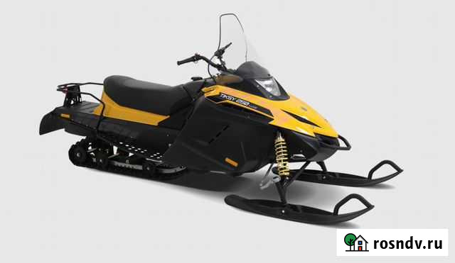 Снегоход Tiksy 250 Luxe Екатеринбург - изображение 1