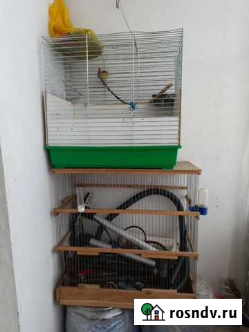 Клетка Лосино-Петровский - изображение 1