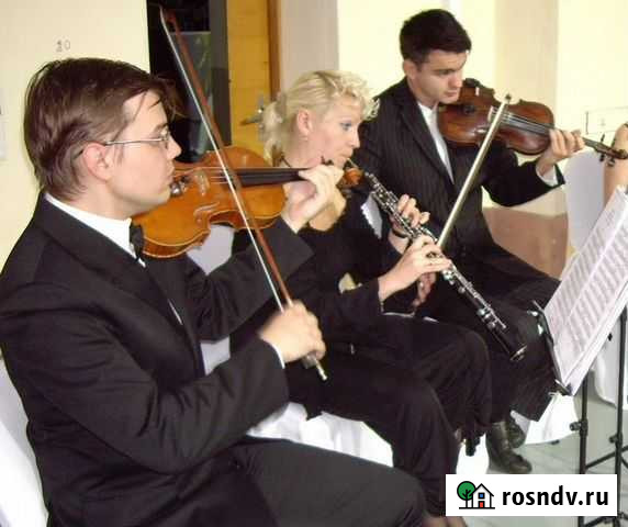 Уроки игры на блокфлейте, гобое, саксофоне Москва - изображение 1