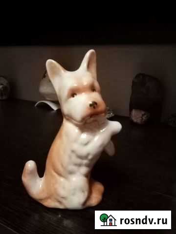 Собачки из фарфор Чапаевск - изображение 1