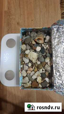 Камни, ракушки, грунт для аквариума Курган - изображение 1