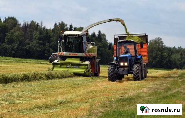 Зерносенаж Тюкалинск - изображение 1
