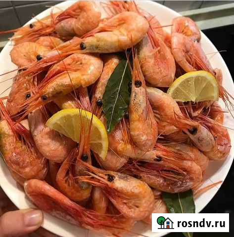 Креветка Гренландия Сухая Заморозка ст.Динская Динская - изображение 1