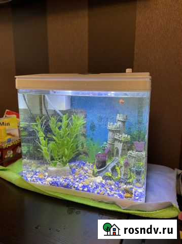 Аквариум Королев - изображение 1