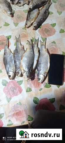 Тарань вяленая Туапсе - изображение 1