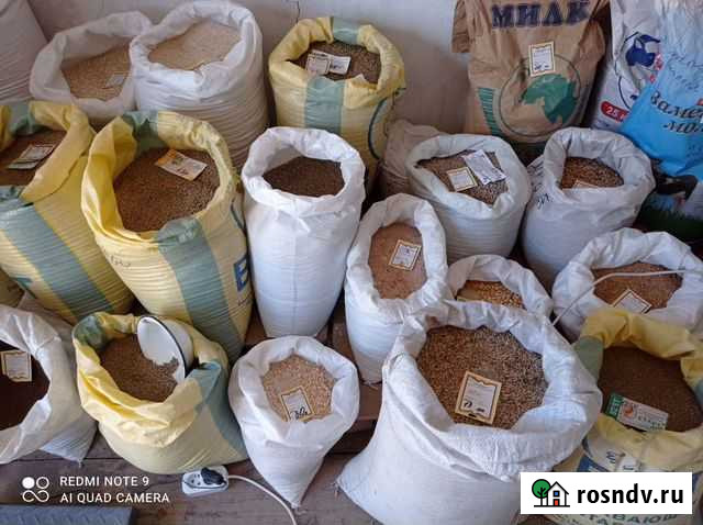 Комбикорма,зерносмеси,пробиотик Нарышкино - изображение 1