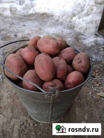 Продам свое Железногорск - изображение 1