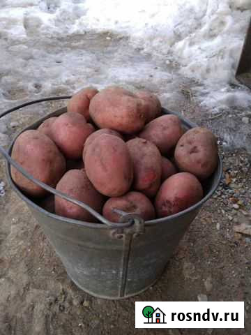 Продам свое Железногорск - изображение 1