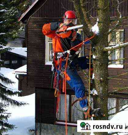 Спил и обрезка (кронирование) деревьев, расчистка Новомосковск