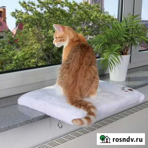 Полка для кошки на подоконник Петрозаводск - изображение 1
