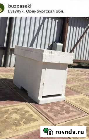 Ульи для пчёл Бузулук - изображение 1