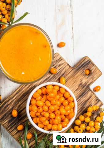 Облепиха ягоды Заречье - изображение 1