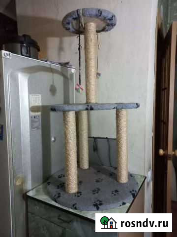 Когтеточка Елизово - изображение 1