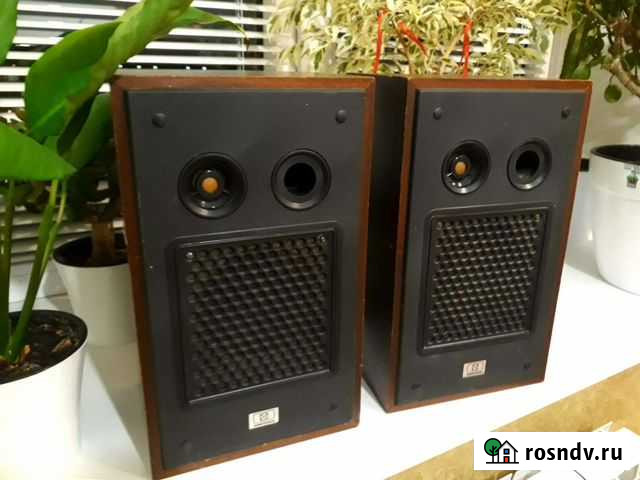 Колонки Радиотехника 10ас-409 Нововоронеж - изображение 1