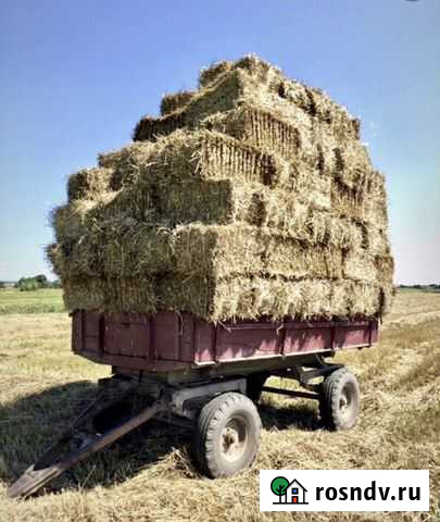 Сено в тюках Синегорский - изображение 1