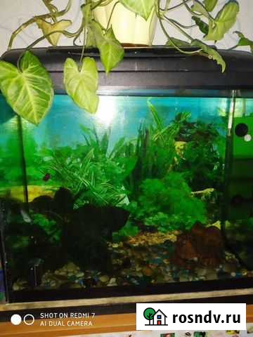 Аквариум Магнитогорск - изображение 1