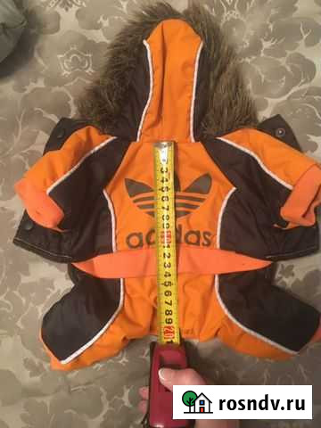 Одежда для собак Истра - изображение 1