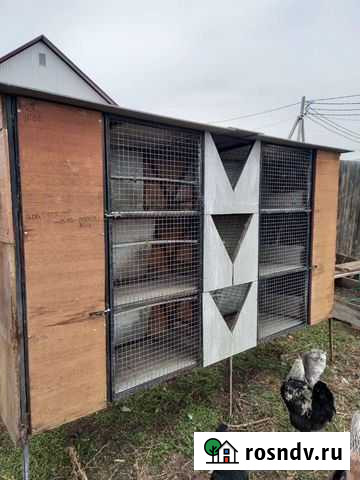 Клетка для кроликов Минусинск - изображение 1