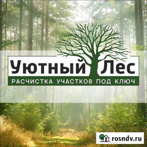 Расчистка участков, спил, обрезка деревьев Иркутск