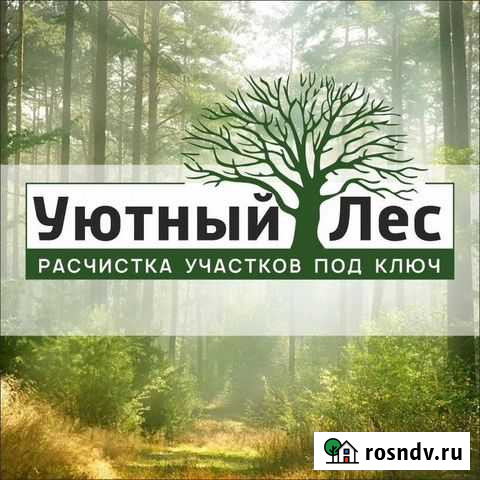 Расчистка участков, спил, обрезка деревьев Иркутск - изображение 1