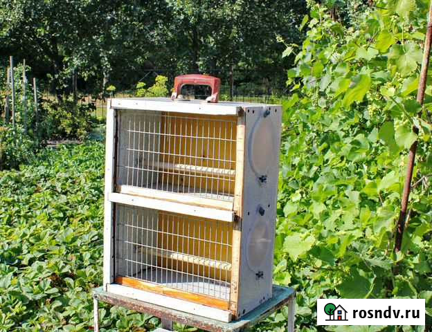 Клетки для птицы Мичуринск - изображение 1