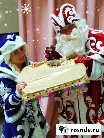 Дед Мороз и снегурочка Брянск - изображение 1