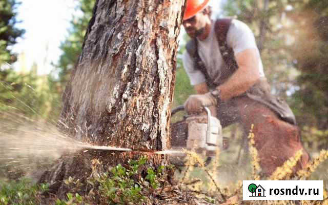 Спил деревьев, кустарников. Измельчение Городец - изображение 1