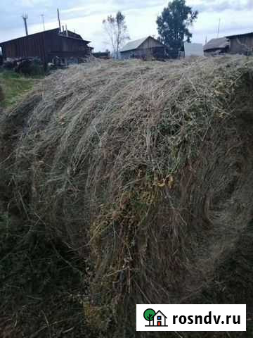 Сено в рулонах с доставкой Смоленка - изображение 1