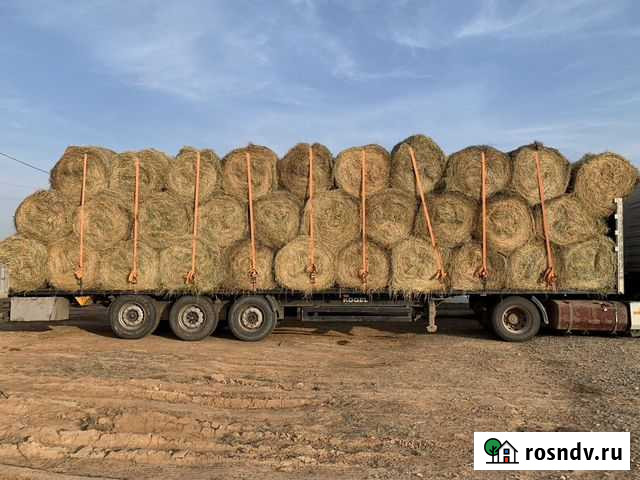 Сено люцерны в рулонах Яшкуль - изображение 1