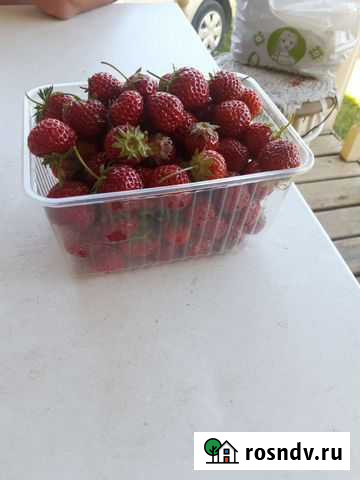 Замороженные ягоды (клубника, крыжовник, красная с Петрозаводск - изображение 1