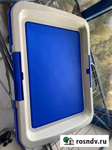 Лоток для собак Обнинск - изображение 1