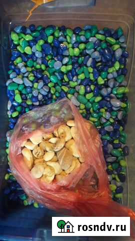 Ассорти для аквариума Луховицы - изображение 1