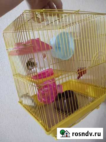 Клетка с двумя хомяками Гудермес - изображение 1
