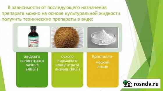 Жидкий концентрат лизина Каневская